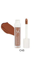 Load image into Gallery viewer, Vani-T Instant Blur HD Concealer Shade- C45