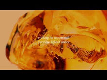 Load and play video in Gallery viewer, Vagheggi Ambra Di Sicilia Cream 50ml Christmas 2024