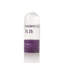 Load image into Gallery viewer, Vagheggi 75.25 Longevity Intensive Treatment Kit 10 x 1.5ml
